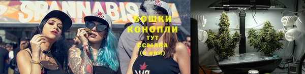 PSILOCYBIN Пестово