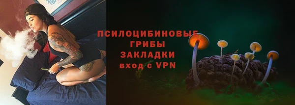 PSILOCYBIN Осташков