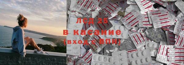 PSILOCYBIN Осташков