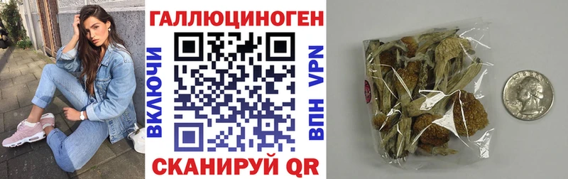 купить наркоту  Бодайбо  Псилоцибиновые грибы мицелий 